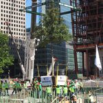 One of the White Swamp Oaks was lowered to be planted at the 9/11 Memorial Plaza